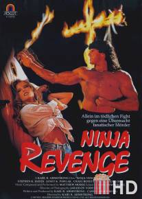 Месть ниндзя / Ninja Vengeance