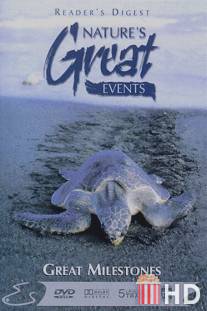 BBC: Чудеса живой природы: Великие вехи / Nature's Great Events: Great Milestones