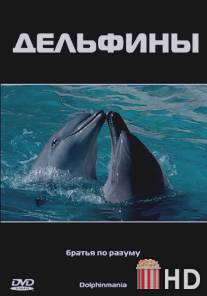 Дельфины / Dolphinmania