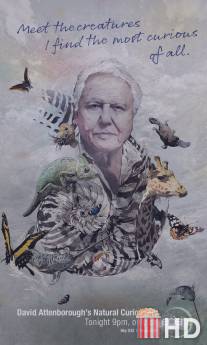 Девид Аттенборо. Курьезы природного мира / David Attenborough's Natural Curiosities