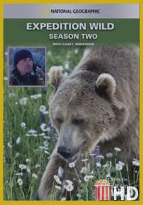 Кейси и Брут: В мире медведей / Expedition Wild