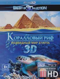 Коралловый риф 3D: Подводный мир Египта / Abenteuer Korallenriff