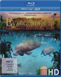 Приключение в Эверглэйдс / Abenteuer Everglades
