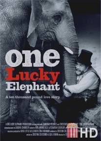 Счастливая слониха / One Lucky Elephant
