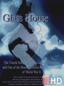 Стеклянный дом / Glass House