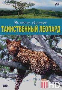 Таинственный леопард / The Secret Leopard