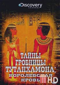 Тайны гробницы Тутанхамона / King Tut Unwrapped