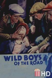Дикие парни с дороги / Wild Boys of the Road