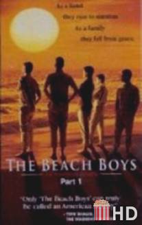 Подростки из прибрежного городка / Beach Boys: An American Family, The
