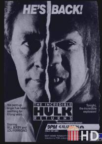 Невероятный Халк: Возвращение / Incredible Hulk Returns, The