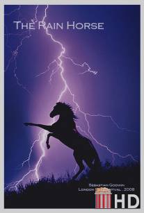 Лошадь дождя / Rain Horse, The