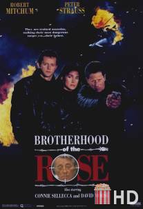 Братство розы / Brotherhood of the Rose