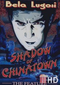 Тень Чайнатауна / Shadow of Chinatown