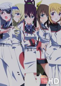 Бесконечные небеса: Секстет пылающей любви / Infinite Stratos Encore: Koi ni Kogareru Rokujuso