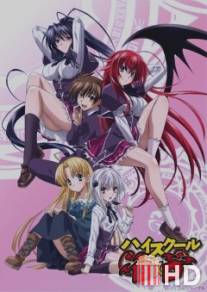 Высшая школа DxD / High School DxD