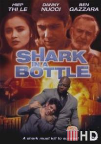 Акула в бутылке / Shark in a Bottle