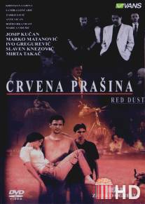 Crvena prasina