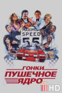 Гонки `Пушечное ядро` / Cannonball Run, The