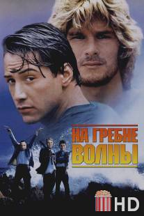 На гребне волны / Point Break