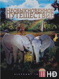 Необыкновенное путешествие: История про двух слонят / Elephant Tales