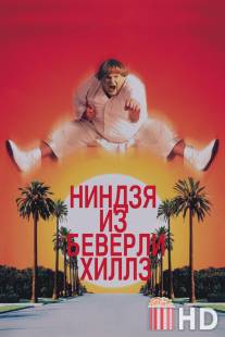 Ниндзя из Беверли Хиллз / Beverly Hills Ninja