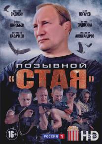 Позывной «Стая» / Pozyvnoy Staya
