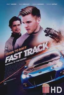 Прирожденный гонщик 2 / Born to Race: Fast Track