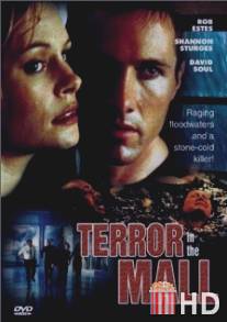 Темный дождь / Terror in the Mall