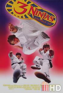 Три ниндзя: Костяшки вверх / 3 Ninjas Knuckle Up