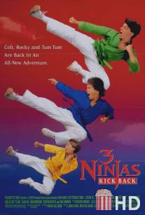 Три ниндзя наносят ответный удар / 3 Ninjas Kick Back