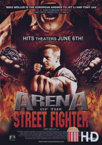 Уличный боец / Arena of the Street Fighter