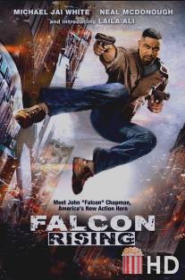 Восхождение Сокола / Falcon Rising