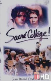 Святой колледж / Sacre college!