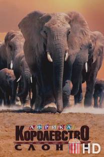 Африка - королевство слонов / Africa's Elephant Kingdom