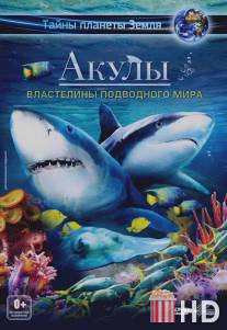 Акулы 3D: Властелины подводного мира / Sharks 3D: Kings of the Ocean
