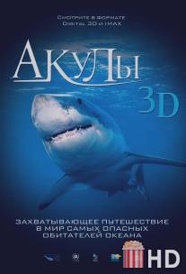 Акулы 3D / Sharks 3D
