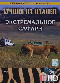 Animal Planet: Экстремальное сафари / Animal Planet