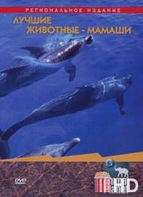 Animal Planet. Лучшие животные-мамаши / Ultimate Animals Moms