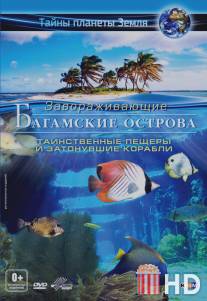 Багамские острова 3D: Таинственные пещеры и затонувшие корабли / Adventure Bahamas 3D: Mysterious Caves And Wrecks
