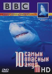 BBC: 10 самых опасных акул / Ten Deadliest Sharks