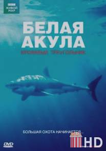 BBC: Белая акула. Кровавый треугольник / White Shark. Red Triangle