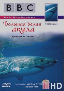 BBC: Большая белая акула / Great White Shark