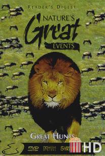 BBC: Чудеса живой природы: Великая охота / Nature's Great Events: Great Hunts