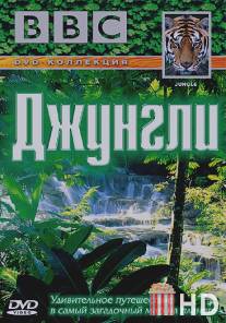 BBC: Джунгли / Jungle