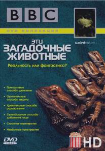 BBC: Эти загадочные животные / Weird Nature