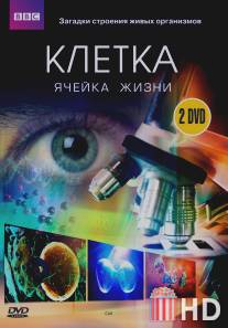 BBC: Клетка / Cell, The