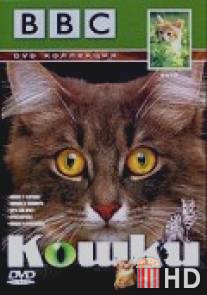 BBC: Кошки / Cats