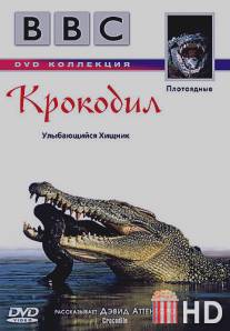 BBC: Крокодил / Crocodile