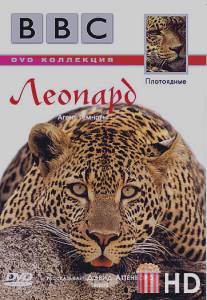 BBC: Леопард / Wildlife Special: Leopard