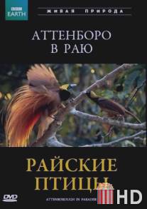 BBC: Райские птицы / Attenborough in Paradise